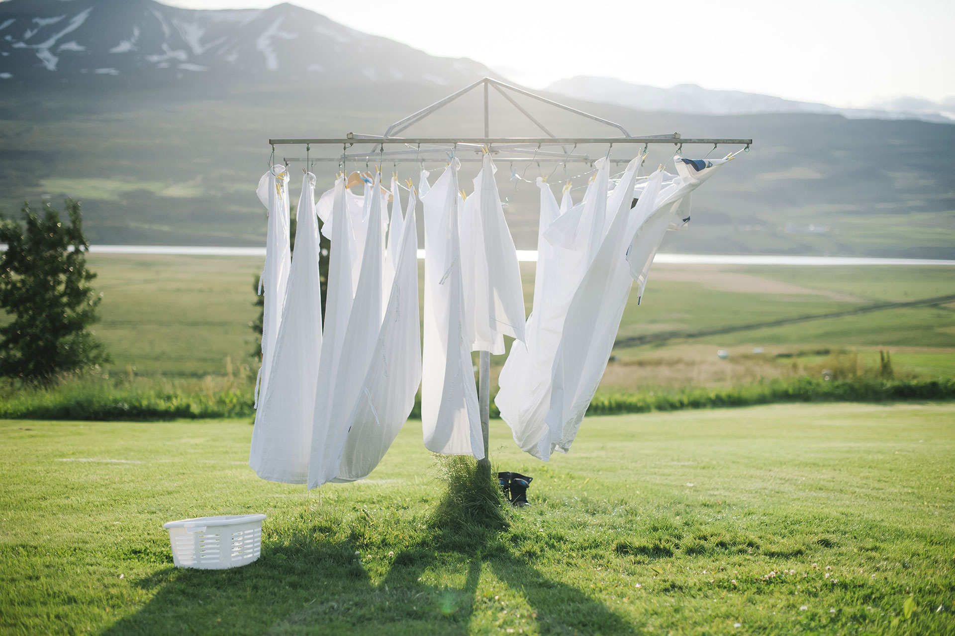 Tweeds Dry Cleaning photo 8